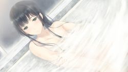 Rule 34 | 1girl, bath, bathroom, bathtub, black eyes, black hair, blush, breasts, censored, convenient censoring, flowers (game), innocent grey, long hair, looking down, nude, sitting, small breasts, solo, steam, water, wet