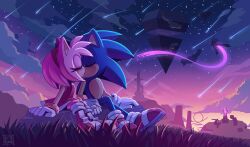 Rule 34 | 1boy, 1girl, absurdres, amy rose, artist name, boots, closed eyes, cloud, drstarline, furry, furry female, furry male, gloves, grass, highres, holding hands, kiss, night, night sky, outdoors, red footwear, shoes, shooting star, sky, sonic (series), sonic the hedgehog, star (sky), starry sky, two-tone footwear, white footwear, white gloves