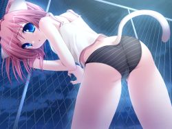 Rule 34 | 13cm, 1girl, against fence, animal ears, ass, bent over, black panties, blue eyes, camisole, cat ears, cat tail, chain-link fence, eyebrows, faye mcclintock, fence, game cg, inuzumi masaki, looking back, natsume eri, nekokawaigari, night, open mouth, outdoors, panties, pink hair, short hair, solo, striped clothes, striped panties, tail, underwear
