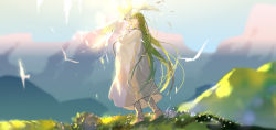 Rule 34 | absurdres, androgynous, animal, bad id, bad pixiv id, barefoot, bird, blurry, blurry background, enkidu (fate), closed eyes, fate/grand order, fate/strange fake, fate (series), feathers, full body, gender request, grass, green hair, highres, long hair, long sleeves, mountain, robe, rrr (reason), sky, standing, very long hair, white legwear, white robe
