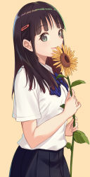 Rule 34 | 1girl, black hair, bow, bowtie, flower, green eyes, hair ornament, hairclip, highres, holding, holding flower, itachi kanade, long hair, looking at viewer, open mouth, original, profile, school uniform, sideways mouth, solo, standing, striped bow, striped bowtie, striped clothes, sunflower, yellow background