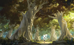 Rule 34 | 1boy, absurdres, commentary, day, english commentary, forest, from behind, highres, looking to the side, male focus, nature, original, outdoors, scenery, shirt, shoes, shorts, sin jonghun, solo, sunlight, t-shirt, tree, walking, white shirt