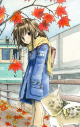 Rule 34 | 1girl, autumn, autumn leaves, azusayumi, backpack, bag, blush, brown eyes, brown hair, cat, clothes writing, coat, fence, hands in pockets, leaf, long hair, looking at viewer, maple leaf, pants, scarf, solo, standing, yellow scarf
