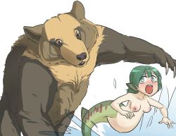 Rule 34 | 1girl, bear, belly, breasts, claws, fins, fish tail, fleeing, green hair, looking back, mermaid, monster girl, pregnant, size difference, supersquid, tail, tears, topless, water