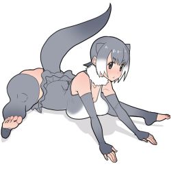 Rule 34 | &gt;:/, 10s, 1girl, :/, animal ears, bad id, bad twitter id, black eyes, breast rest, breasts, cleavage, elbow gloves, feet, fingerless gloves, flexible, full body, fur collar, gloves, grey gloves, grey hair, grey thighhighs, kemono friends, large breasts, leotard, lying, multicolored hair, no shoes, on stomach, outstretched arms, short hair, simple background, small-clawed otter (kemono friends), soles, solo, split, straddle split, sueyuu, tail, thick thighs, thighhighs, thighs, toeless legwear, toes, two-tone hair, v-shaped eyebrows, white background, white hair