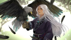 Rule 34 | 1girl, bird, eagle, earrings, feathers, gloves, hayame (m ayame), jewelry, long hair, original, solo, white hair, yellow eyes