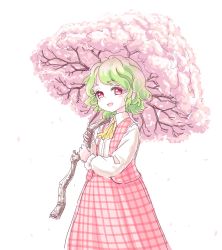 Rule 34 | 1girl, :d, ascot, blush stickers, cherry blossoms, collared shirt, green hair, highres, holding, kazami yuuka, long sleeves, open mouth, petals, plaid, plaid skirt, plaid vest, red eyes, s-a-murai, shirt, short hair, simple background, skirt, skirt set, smile, solo, touhou, umbrella, vest, white background