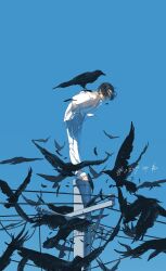 Rule 34 | 1boy, bent over, bird, bird on back, black hair, blue sky, clear sky, covered face, crow, dated, day, facing down, falling feathers, feathers, hands in pockets, highres, jacket, long sleeves, male focus, on top of pole, open clothes, open jacket, original, outdoors, pants, parted bangs, power lines, rido (ridograph), shirt, short hair, sidelocks, signature, sky, solo, utility pole, white jacket, white pants, white shirt, wide shot
