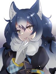 Rule 34 | 1girl, animal ears, dire wolf (kemono friends), extra ears, highres, kemono friends, kemono friends v project, looking at viewer, rnrwbhybsxj4qgk, simple background, solo, virtual youtuber, wolf ears, wolf girl