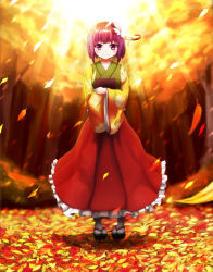 Rule 34 | 1girl, agent (ikuoikuo), autumn leaves, book, hugging book, female focus, floral print, flower, forest, hair flower, hair ornament, hieda no akyuu, highres, holding, holding book, japanese clothes, kimono, nature, hugging object, petals, purple eyes, purple hair, short hair, smile, solo, sunlight, touhou