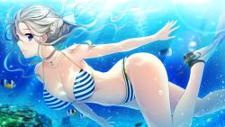 Rule 34 | 1girl, bikini, blue eyes, breasts, brown hair, cleavage, fish, flippers, freediving, from side, game cg, hair ribbon, holding breath, hoshi ori yume mirai, jewelry, koizumi amane, large breasts, leg up, long hair, navel, necklace, okihara misa, ribbon, smile, solo, striped bikini, striped clothes, submerged, swimming, swimsuit, underwater
