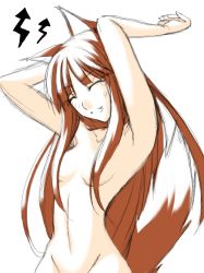 Rule 34 | 00s, animal ears, holo, nude, ribi, solo, spice and wolf, tail, wolf ears, wolf tail