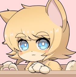 Rule 34 | 1girl, :3, animal ears, blonde hair, blue eyes, blush, box, bright pupils, cat ears, cat girl, cat tail, closed mouth, commentary request, cookie (touhou), furrification, furry, furry female, highres, kirisame marisa, looking at viewer, madore, meguru (cookie), pink background, portrait, short hair, smile, solo, tail, thick eyebrows, touhou, whiskers, white pupils