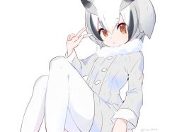 Rule 34 | 10s, 1girl, :o, arm at side, black hair, blonde hair, brown eyes, buttons, coat, collar, commentary, dot nose, expressionless, eyebrows, eyelashes, fur collar, grey coat, grey hair, hair between eyes, head wings, ica, kemono friends, long sleeves, looking at viewer, multicolored hair, northern white-faced owl (kemono friends), open mouth, pantyhose, short hair, simple background, sitting, solo, twitter username, v, white background, white hair, white pantyhose, wings