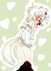 Rule 34 | 1girl, animal ears, ass, bare legs, bare shoulders, blush, bottomless, brown eyes, clothes pull, detached sleeves, embarrassed, female focus, from behind, hat, highres, inubashiri momiji, looking back, narumiya (narumiya), sarashi, short hair, silver hair, simple background, skirt, skirt pull, solo, sweat, tail, tokin hat, touhou, wolf ears, wolf tail