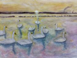 Rule 34 | animal, bird, highres, horizon, in water, no humans, original, painting (medium), pcpqapfxcw0ky8w, reflection, reflective water, sun, sunlight, sunrise, swan, traditional media, water, watercolor (medium)