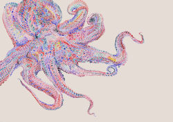 Rule 34 | abstract, absurdres, eikichi, grey background, highres, marutora (eikichi), no humans, octopus, original, simple background, tentacles