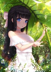 Rule 34 | 1girl, air bubble, ango, ankkoyom, bad id, bad pixiv id, bare shoulders, black hair, blue eyes, blunt bangs, blush, bow, breasts, bubble, choker, collar, collarbone, day, drawstring, dress, giant leaf, hair bow, half updo, highres, holding, holding leaf, leaf, leaf umbrella, long hair, looking at viewer, medium breasts, nature, off shoulder, original, outdoors, parted lips, pink bow, ribbon, sidelocks, solo, standing, sunlight, upper body, water drop, white choker, white dress, white ribbon