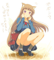 Rule 34 | 00s, 1girl, animal ears, blunt bangs, blush, bottomless, brown hair, holo, long hair, looking at viewer, no panties, outdoors, solo, spice and wolf, squatting, tail, translation request, wolf ears, wolf tail, yaegashi nan