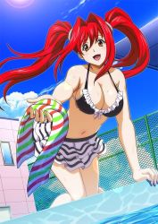 Rule 34 | 00s, 1girl, all fours, bikini, breasts, female focus, ikkitousen, kanpei, large breasts, long hair, looking at viewer, red hair, shiny skin, skirt, sky, swimsuit, twintails