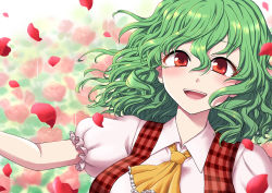 Rule 34 | 1girl, ascot, blurry, blurry background, blush, breasts, collared shirt, colored eyelashes, commentary request, depth of field, flower, frilled ascot, frilled sleeves, frills, green hair, hair between eyes, happy, highres, kazami yuuka, large breasts, looking at viewer, mokku, open mouth, petals, pink lips, plaid, plaid vest, puffy short sleeves, puffy sleeves, red eyes, red vest, rose, rose petals, shirt, short hair, short sleeves, smile, solo, teeth, tongue, touhou, upper body, vest, wavy hair, white shirt, yellow ascot