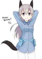 Rule 34 | 1girl, animal ears, arms behind head, dated, eila ilmatar juutilainen, fox ears, fox tail, grin, happy birthday, highres, long hair, long sleeves, pantyhose, purple eyes, seedflare, silver hair, simple background, smile, solo, strike witches, tail, white background, white pantyhose, world witches series