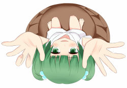 Rule 34 | 1girl, bucket, female focus, green eyes, green hair, hair bobbles, hair ornament, in bucket, in container, kisume, matching hair/eyes, oni tofu, open mouth, outstretched arms, short hair, smile, solo, touhou, twintails, white background