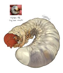 Rule 34 | 1girl, absurdres, arthropod limbs, curled up, extra arms, grey eyes, grub, highres, larva, looking at viewer, monster girl, original, personification, red hair, signature, simple background, solo, sparrowl, white background