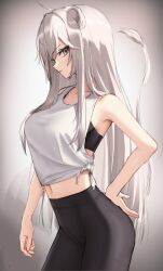 Rule 34 | absurdres, animal ears, arched back, black pants, breasts, collarbone, grey eyes, hand on own ass, highres, hololive, large breasts, leggings, lion ears, lion girl, lion tail, long hair, looking at viewer, low-cut armhole, navel, pants, shirt, shishiro botan, simple background, sports bra, sportswear, standing, tail, tank top, thomas 8000, tied shirt, very long hair, virtual youtuber, white hair, white shirt, white tank top, yoga pants