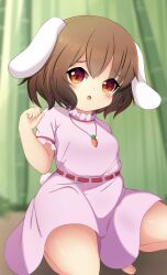 Rule 34 | 1girl, :o, animal ears, bamboo, bamboo forest, blurry, blurry background, blush, breasts, brown hair, carrot necklace, commentary request, dress, floppy ears, forest, frilled sleeves, frills, full body, highres, inaba tewi, jewelry, koruk700, looking at viewer, medium bangs, nature, necklace, open mouth, orange eyes, pink dress, rabbit ears, rabbit girl, ribbon-trimmed dress, short hair, short sleeves, small breasts, solo, squatting, touhou