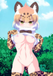 Rule 34 | 10s, 1girl, animal ears, blonde hair, blush, bottomless, bow, bowtie, breasts, closed mouth, clothes lift, cowboy shot, day, embarrassed, fur collar, gloves, groin, hands up, highres, jaguar (kemono friends), jaguar ears, jaguar print, jaguar tail, kemono friends, lifted by self, looking at viewer, mamiyama, medium breasts, multicolored hair, navel, nipples, no bra, outdoors, print gloves, print thighhighs, shirt, shirt lift, short hair, solo, standing, stomach, tail, thighhighs, toned, wavy mouth, white hair, yellow eyes