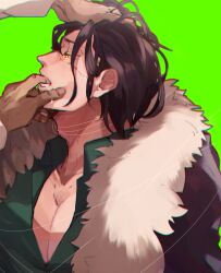 Rule 34 | 2boys, adam&#039;s apple, black hair, black jacket, coat, crocodile (one piece), donquixote doflamingo, finger in another&#039;s mouth, fur-trimmed coat, fur trim, green background, grey shirt, hand in another&#039;s hair, highres, jacket, male focus, messy hair, mirin (coene65), multiple boys, one piece, pectoral cleavage, pectorals, saliva, scar, scar on face, shirt, short hair, simple background, yaoi, yellow eyes
