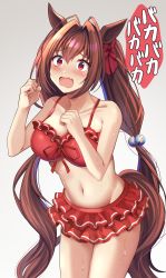 Rule 34 | 1girl, absurdres, animal ears, bare arms, bare legs, bare shoulders, bikini, blush, breasts, brown hair, collarbone, cowboy shot, daiwa scarlet (trifle vacation) (umamusume), daiwa scarlet (umamusume), fang, grey background, groin, hair between eyes, hair intakes, highres, horse ears, horse girl, horse tail, large breasts, long hair, navel, official alternate costume, open mouth, red bikini, red eyes, skin fang, solo, swimsuit, tail, tears, twintails, umamusume, z.nov