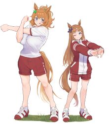 Rule 34 | 2girls, :d, ;), absurdres, animal ears, benikirin, full body, grass wonder (umamusume), gym uniform, highres, horse ears, horse girl, horse tail, looking at another, multiple girls, one eye closed, open mouth, ponytail, simple background, size difference, smile, stretching, taiki shuttle (umamusume), tail, tracen training uniform, umamusume, white background