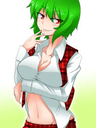 Rule 34 | 1girl, bad id, bad pixiv id, blush, breast hold, breasts, cleavage, collarbone, dress shirt, green hair, groin, kazami yuuka, large breasts, long sleeves, looking at viewer, navel, one-hour drawing challenge, open clothes, open vest, plaid, plaid skirt, plaid vest, red eyes, shirt, short hair, skirt, skirt set, smile, solo, sumiya nadateru, touhou, unbuttoned, upper body, vest, white shirt