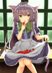Rule 34 | 1girl, :o, absurdres, animal ears, apron, apron basket, apron hold, bell, bow, cat ears, cat tail, day, eating, fang, food, fruit, green bow, green eyes, highres, indoors, jingle bell, knees together feet apart, legs together, long hair, looking at viewer, maid, maid apron, maid headdress, original, puffy short sleeves, puffy sleeves, purple hair, short sleeves, sitting, skirt hold, solo, strawberry, tail, utako (kuromosuki), very long hair, window