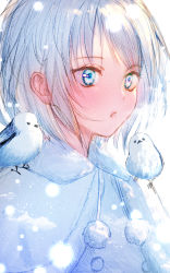 Rule 34 | 00mizore, 1girl, :o, animal, animal on shoulder, bad id, bad pixiv id, bird, bird on shoulder, blue eyes, breath, capelet, fur-trimmed capelet, fur trim, highres, looking afar, looking away, original, parted lips, pom pom (clothes), portrait, short hair, silver hair, snowing, solo, white capelet