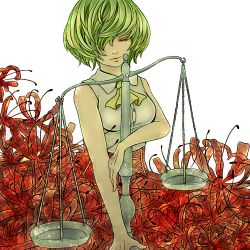 Rule 34 | 1girl, ascot, balance scale, flower, green hair, hair over one eye, highres, kazami yuuka, shirt, short hair, sleeveless, sleeveless shirt, solo, spider lily, tommy koh, touhou, weighing scale