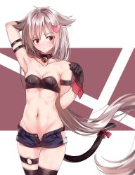 Rule 34 | 1girl, alternate costume, arm behind head, armband, armpits, azur lane, bandeau, bare shoulders, bell, black collar, black gloves, black legwear, black shorts, blush, breasts, cat tail, cleavage, collar, collarbone, commentary request, cowboy shot, gloves, gluteal fold, grey hair, hair flaps, hair ornament, heart, heart hair ornament, highres, hip vent, long hair, looking away, looking to the side, medium breasts, midriff, montpelier (azur lane), navel, neck bell, paw pose, raised eyebrow, red eyes, red ribbon, ribbon, shokuyou koori, short shorts, shorts, solo, standing, stomach, tail, tail ornament, tail ribbon, thigh gap, thigh strap, thighs, unzipped, very long hair, white background