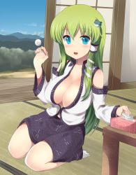 Rule 34 | 1girl, :d, bad id, bad pixiv id, bare shoulders, blue eyes, blush, breasts, cleavage, collarbone, covered erect nipples, day, detached sleeves, door, dutch angle, female focus, forest, frog, green hair, hair ornament, hair tubes, highres, indoors, kochiya sanae, large breasts, long hair, looking at viewer, mimikaki, mizukami ryouma, mountain, nature, navel, no bra, open clothes, open mouth, open shirt, seiza, shirt, sitting, skirt, sky, sliding doors, smile, snake, socks, solo, table, tatami, tissue, tissue box, touhou, veranda, white socks, xjr1250