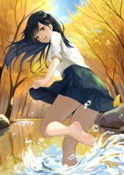 Rule 34 | 1girl, :d, artist name, autumn, back, barefoot, black hair, blue skirt, breasts, brown eyes, dated, day, dress shirt, feet, forest, from behind, ginkgo leaf, highres, leaf, long hair, looking at viewer, looking back, may9, medium breasts, nature, open mouth, original, outdoors, parted bangs, pleated skirt, pond, school uniform, shirt, signature, skirt, sleeves rolled up, smile, soles, solo, splashing, standing, standing on one leg, tree, wading, water, water drop, white shirt