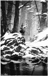 Rule 34 | 1boy, forest, highres, lake, lantern, monochrome, nature, original, reflection, reflective water, snow, standing