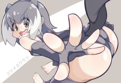 Rule 34 | 1girl, :3, animal ears, ass, barefoot, blush, commentary request, dutch angle, elbow gloves, fingerless gloves, full body, gloves, grey eyes, grey gloves, grey hair, grey one-piece swimsuit, highres, kemono friends, looking at viewer, looking back, medium hair, one-piece swimsuit, open mouth, otter ears, otter tail, reaching, reaching towards viewer, small-clawed otter (kemono friends), solo, swimsuit, tail, translation request, white hair, yayuyoyayuyo