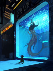 Rule 34 | 1girl, absurdres, against glass, aquarium, black cat, black hair, blue eyes, breasts, cat, city, commentary request, expressionless, floating hair, gills, glowing, highres, long hair, manhole cover, mermaid, monster girl, night, nude, original, pointy ears, shadow, sign, small breasts, solo, submerged, underwater, very long hair, zan (zan)