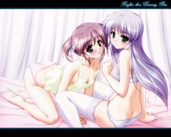 Rule 34 | 2girls, all fours, asagiri mai, ass, barefoot, bed, bekkankou, blue bra, blue panties, blush, bra, breasts, brown hair, camisole, cleavage, closed mouth, collarbone, feena fam earthlight, from side, full body, green eyes, grey eyes, hair ribbon, letterboxed, lingerie, looking at viewer, looking to the side, midriff, multiple girls, on bed, open mouth, panties, pink panties, print clothes, print panties, print underwear, ribbon, sitting, soles, source request, striped clothes, striped panties, tank top, thighhighs, toes, twintails, underwear, underwear only, wallpaper, wariza, white ribbon, white thighhighs, yellow camisole, yoake mae yori ruri iro na, yuri