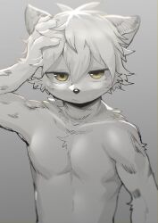Rule 34 | 1boy, absurdres, body fur, closed mouth, furry, furry male, gradient background, green eyes, grey background, hair between eyes, hand on own head, highres, jitome, male focus, no nipples, original, raizinndx, short hair, solo, upper body, white fur, white hair