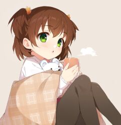 Rule 34 | 1girl, autumn leaves, black pantyhose, blush, brown background, brown hair, brown shawl, chestnut mouth, cofetaru, commentary, cup, eyelashes, feet out of frame, gin&#039;iro haruka, green eyes, hair ornament, holding, holding cup, knees up, leaf hair ornament, looking at viewer, nashiro momiji, open mouth, pantyhose, plaid shawl, shawl, shirt, short hair, simple background, sitting, solo, spiked hair, steam, tareme, two side up, white shirt