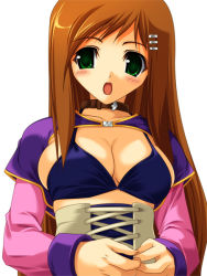 Rule 34 | 1girl, blush, breasts, brown hair, cleavage, collar, green eyes, kinoshita ichi, jewelry, kinoshita ichi, large breasts, long hair, necklace, open mouth, solo, sophia esteed, star ocean, star ocean till the end of time