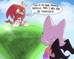 Rule 34 | 1boy, 1girl, animal ears, artist logo, bat ears, bat wings, blue sky, breaking bad, furry, furry female, furry male, gloves, highres, knuckles the echidna, looking at another, master emerald, purple eyes, qkora01, rouge the bat, scene reference, sky, sonic (series), white gloves, wings