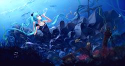 Rule 34 | 1girl, air bubble, animal, black dress, blue eyes, blue hair, bubble, closed mouth, dolphin, dress, fish, floating hair, frills, gradient background, hatsune miku, highres, jellyfish, long hair, looking up, matching hair/eyes, ocean, outdoors, shinkai shoujo (vocaloid), solo, sombernight, stingray, treasure chest, tropical fish, underwater, very long hair, vocaloid